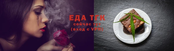 ECSTASY Бородино